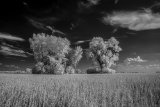 _DSC2777AI-lines-scale-1_01x