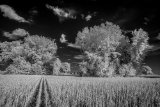 _DSC2782AI-lines-scale-1_01x