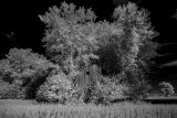 _DSC2792AI-lines-scale-1_01x