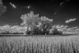 _DSC2838AI-lines-scale-1_01x