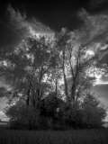 _DSC2842AI-lines-scale-1_01x