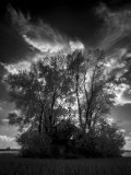 _DSC2851AI-lines-scale-1_01x