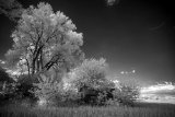 _DSC2859AI-lines-scale-1_01x
