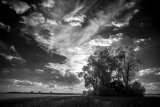_DSC2871AI-lines-scale-1_01x