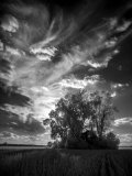 _DSC2872AI-lines-scale-1_01x