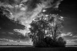 _DSC2880AI-lines-scale-1_01x