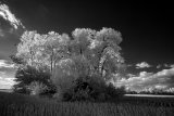 _DSC2885AI-lines-scale-1_01x