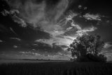 _DSC2893AI-lines-scale-1_01x