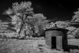 _DSC2736AI-lines-scale-1_01x
