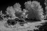 _DSC1916