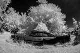 _DSC1921