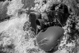 _DSC1945