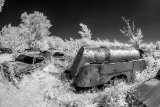 _DSC1955
