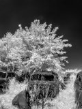 _DSC1966