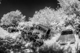 _DSC1968