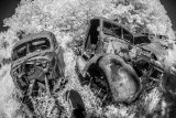 _DSC1969