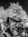 _DSC1970