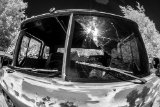_DSC1973