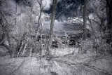 AI-_DSC2445