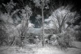 AI-_DSC2477