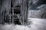 AI-_DSC2494