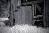 AI-_DSC2502