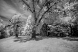 AI-_DSC8979