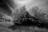 AI-_DSC8985
