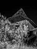 _DSC3472AI-low_res-scale-1_02x