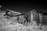 _DSC3496AI-low_res-scale-1_02x