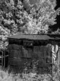 _DSC3504AI-low_res-scale-1_02x