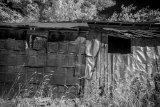 _DSC3520AI-low_res-scale-1_02x
