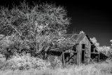 _DSC3535AI-low_res-scale-1_02x