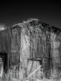 _DSC3558AI-low_res-scale-1_02x