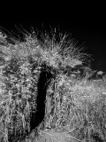 _DSC2576AI-lines-scale-1_01x