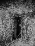 _DSC2586AI-lines-scale-1_01x