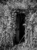 _DSC2593AI-lines-scale-1_01x